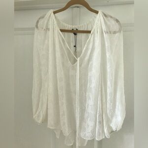 Sheer Zara Blouse